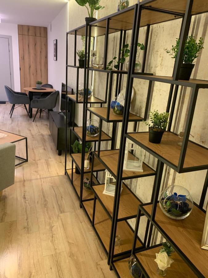 Moderno Apartament 克拉科夫 外观 照片